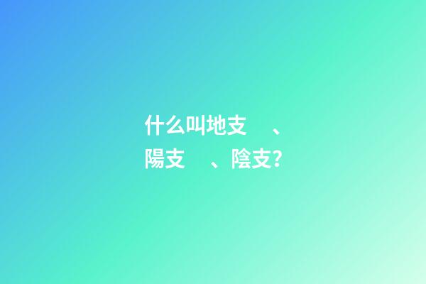 什么叫地支、陽支、陰支？